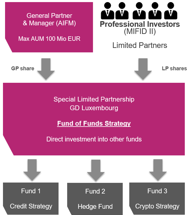 Fund of funds strategy flow chart