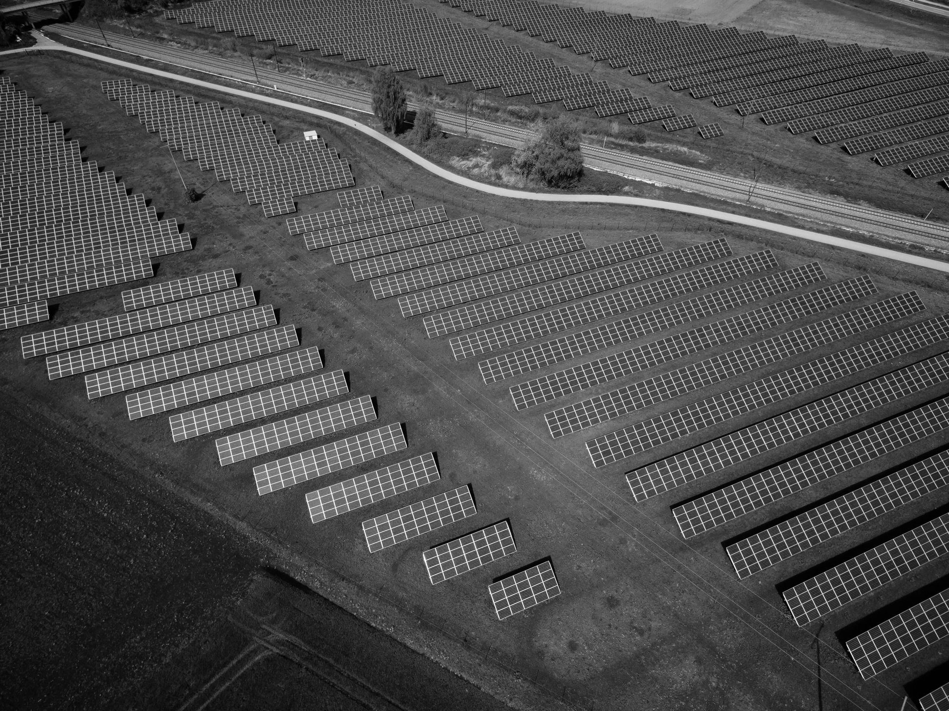 Green energy fund hero image of field full of solar panels with black and white filter