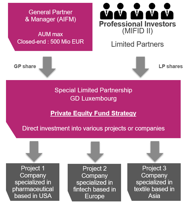Private equity fund strategy flow chart