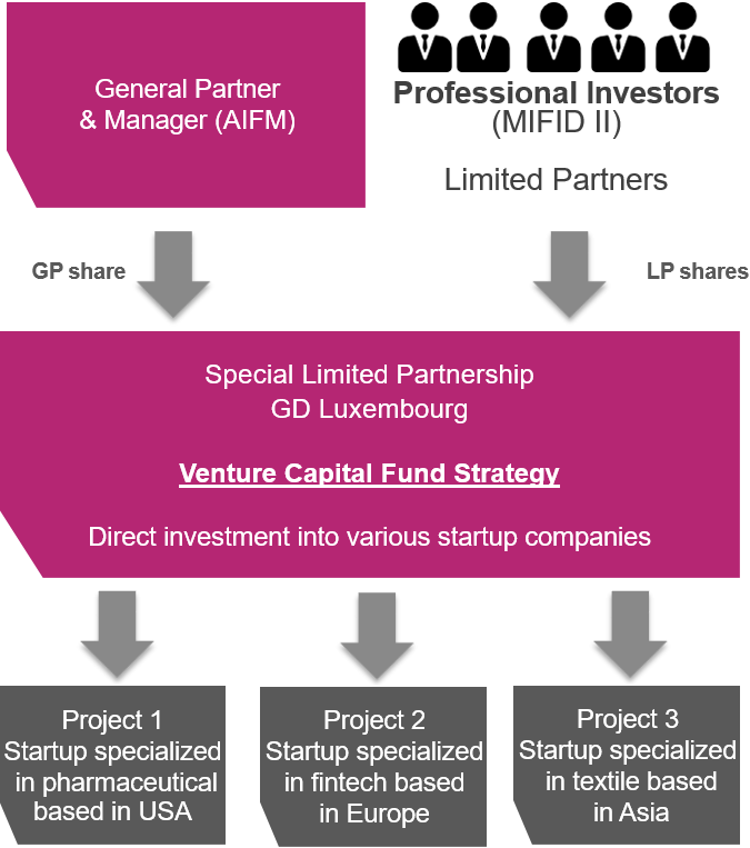 Venture capital fund strategy flow chart